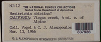 Image Associated With the Occurence